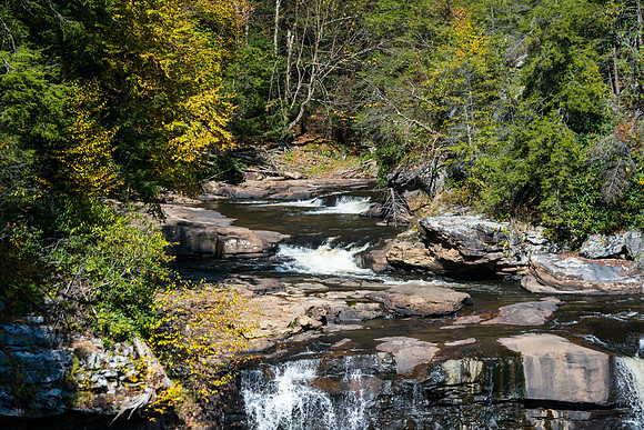 Autumn Stream