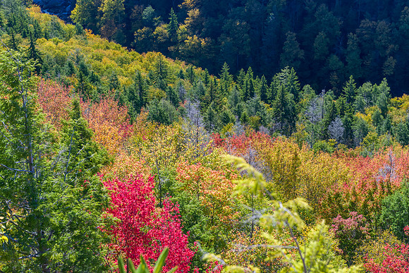 _MSP2193-HDR