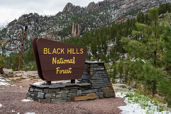 Black Hills National Forrest South Dakota