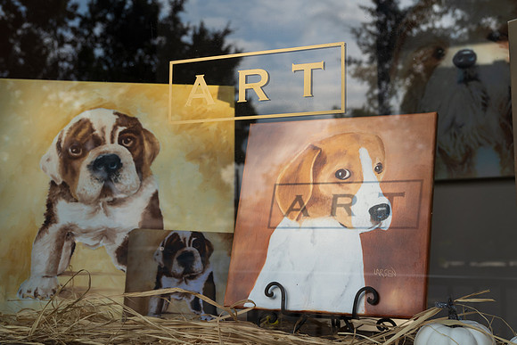 Art Wake Forest window