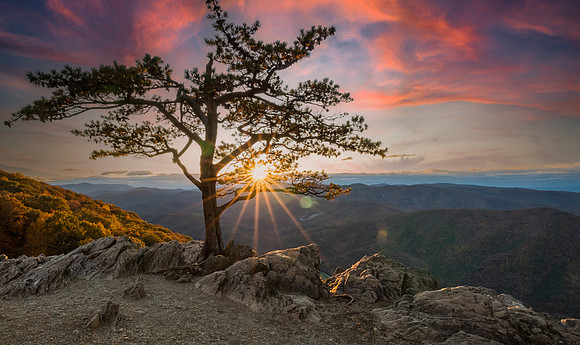 Raven's Roost Va.
