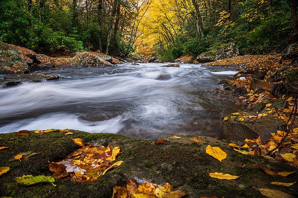 Glade Creek Colors