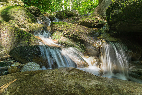 Creek Small Fall