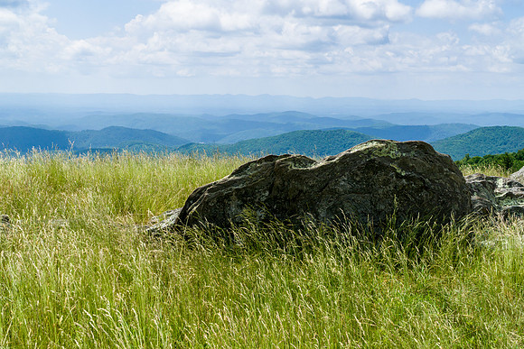 Bluff Mtn Trail View