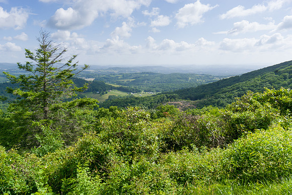Overlook View.