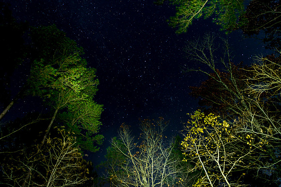 Night Tent View