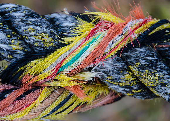 Frayed Nylon Rope