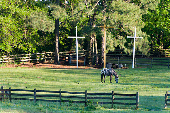 Hosrse and Cross