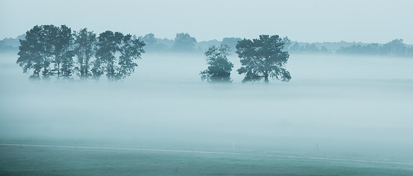 Low Clouds