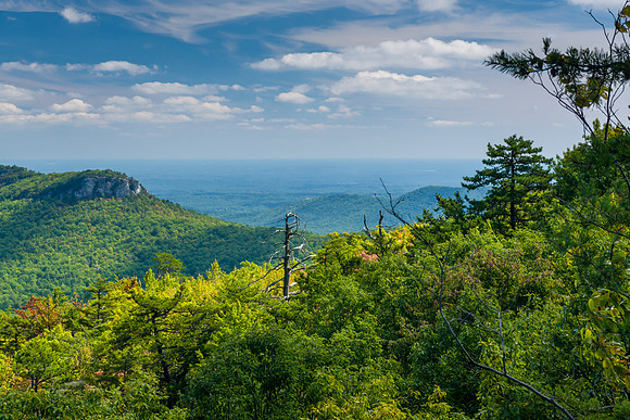 Sauratown Mountains View