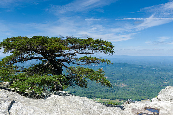 Moore's Knob View