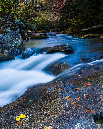 Shoal Creek