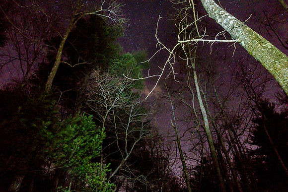 December Sky