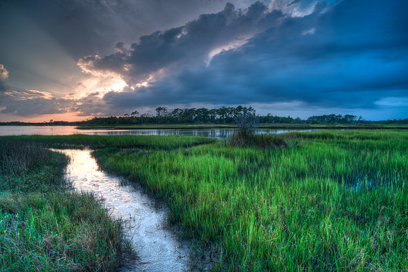 NC Marsh Lands