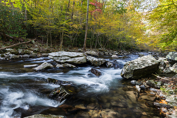 Fall Rapids