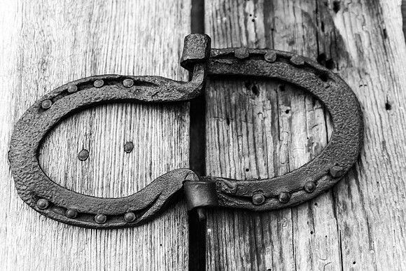 Horse Shoes