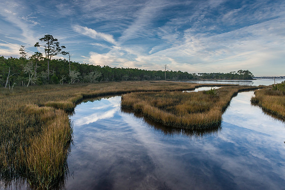 Marsh Reflection