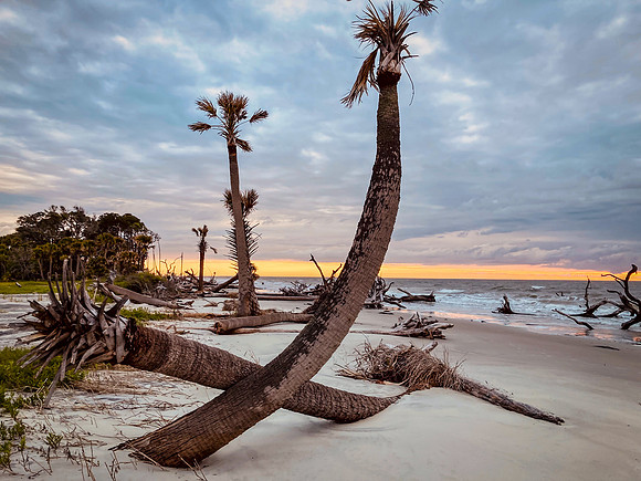 Hunting Island Beach