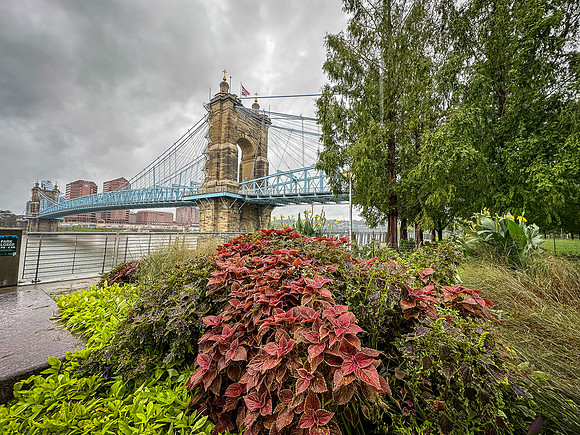 Cincinnati Bridge