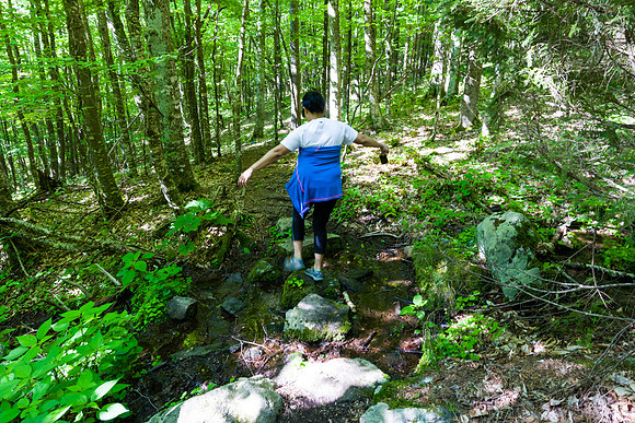 Creek Crossing
