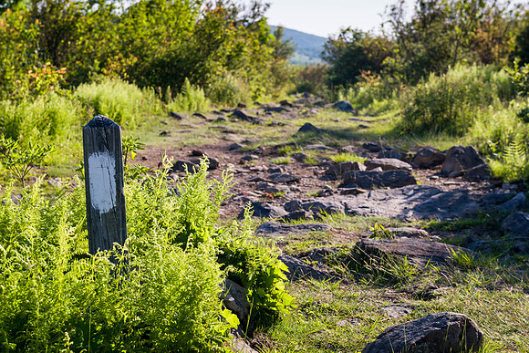 The "AT' Grayson Highlands