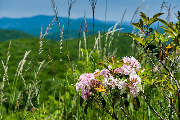Sugarloaf Overlook