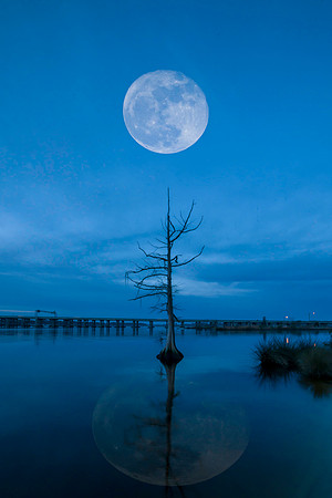 Neuse Moon