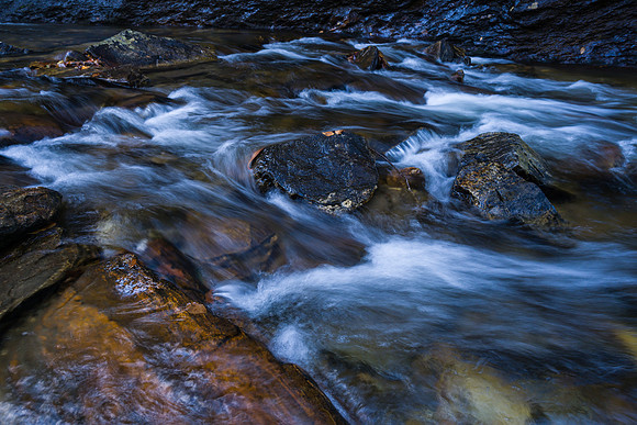 Rapids