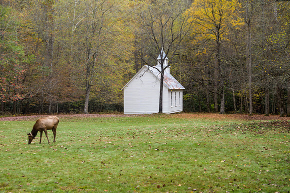 Catalooche Church Elk