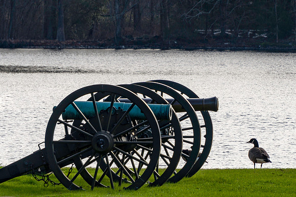 Canon,Canon,Goose
