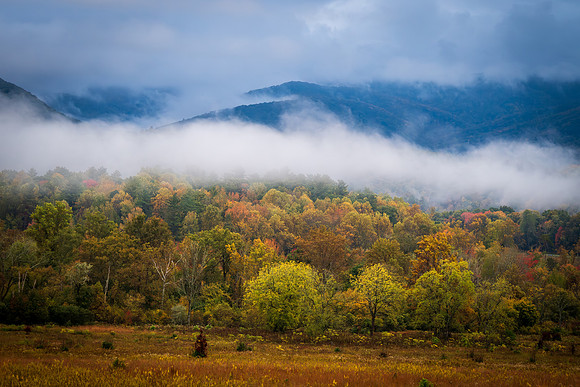 Cades Cove
