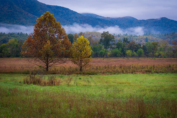 Cades Cove