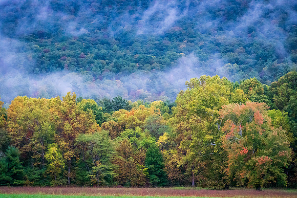 Cades Cove