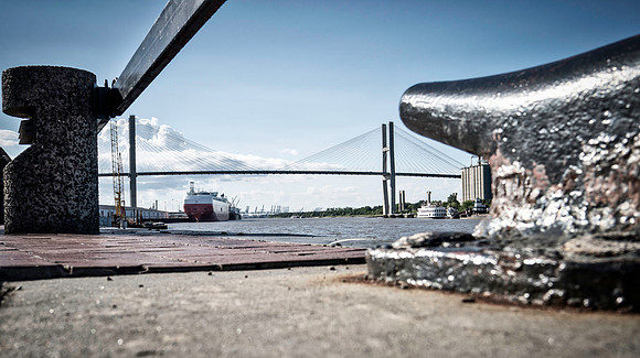 Savannah Bridge