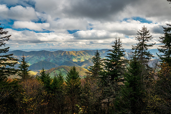 Spruce Knob WVa.