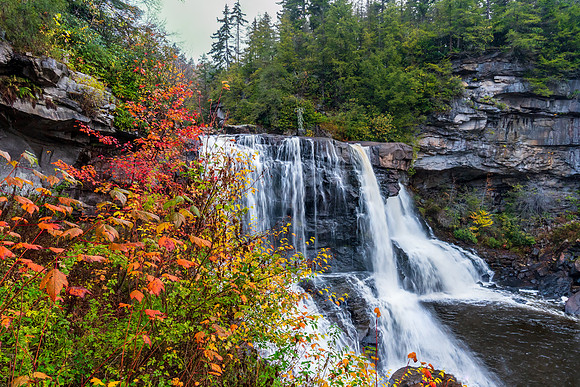 Blackwater Falls