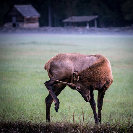 Scratching an itch