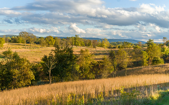 Antietam Battlefield
