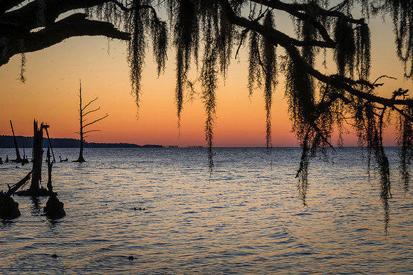 Sunrise at Goose Creek