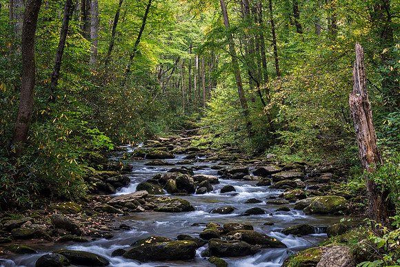 Mountain Stream