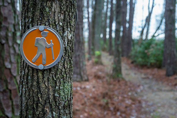 Hiking Medalian
