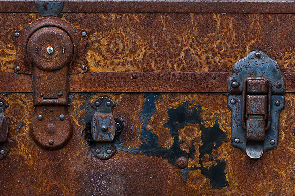 Trunk Detail
