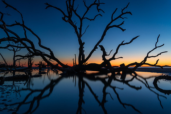 Hunting Island State Park