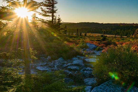 Dolly Sods WV