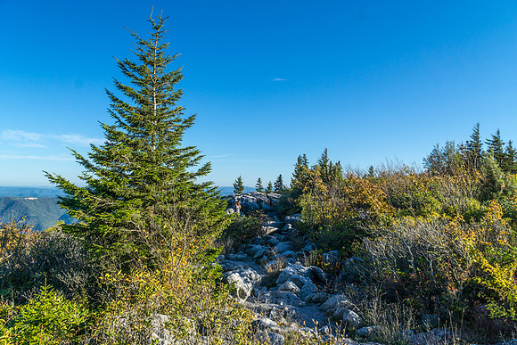 Dolly Sods WV