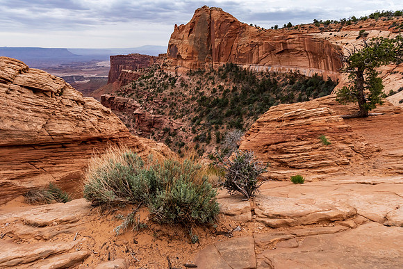 The Canyon