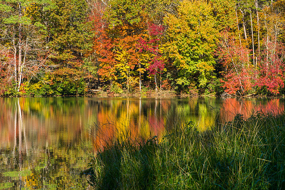 Autumn Reflections